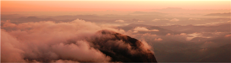 Banner Picture